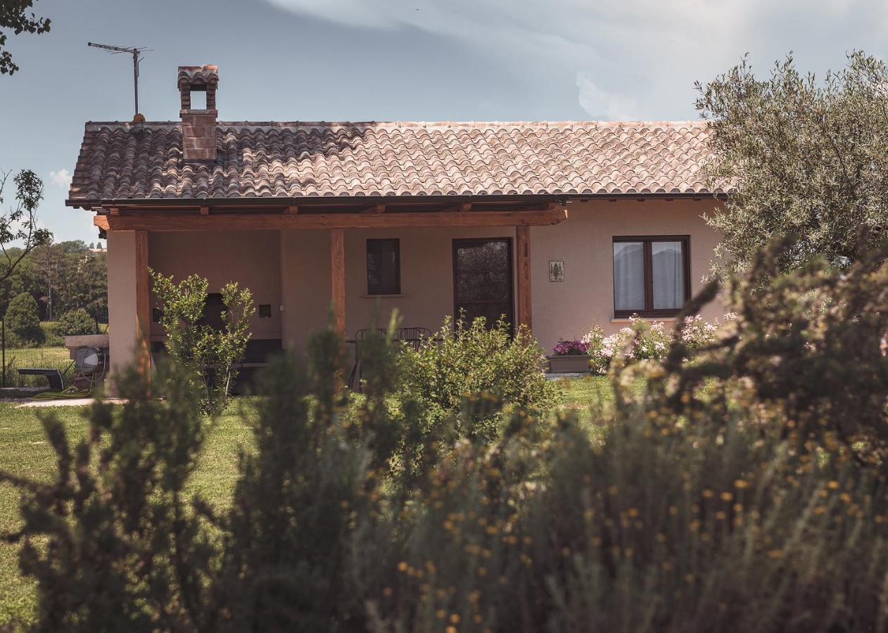 Agriturismo Querceto Mocaiana Exterior foto